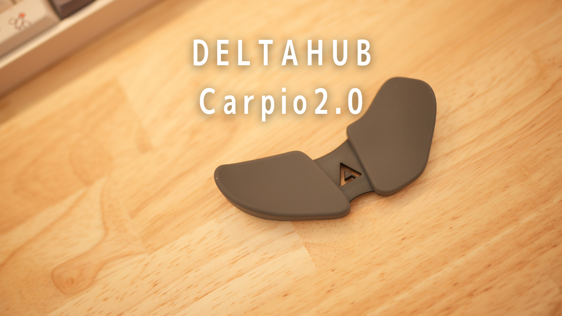 DELTAHUB Carpio2.0